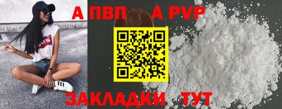 стафф Краснознаменск